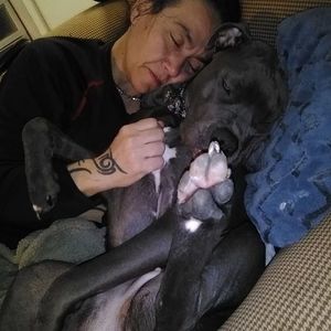 Meet your Posher, Nicky